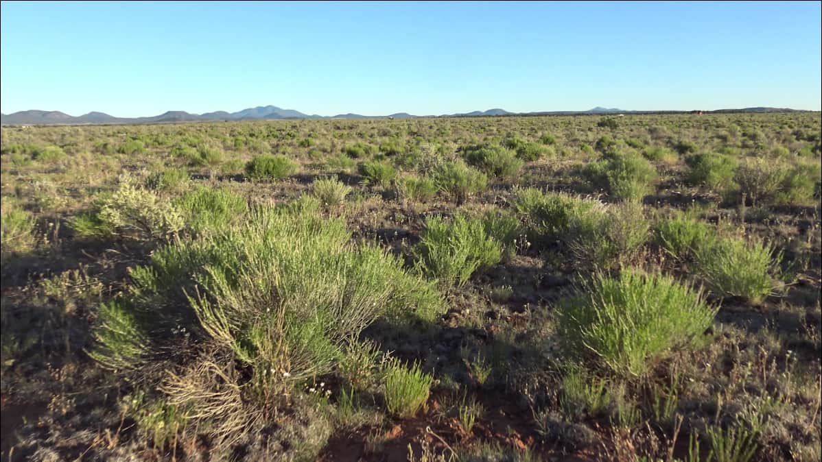 Farrington Ranch
