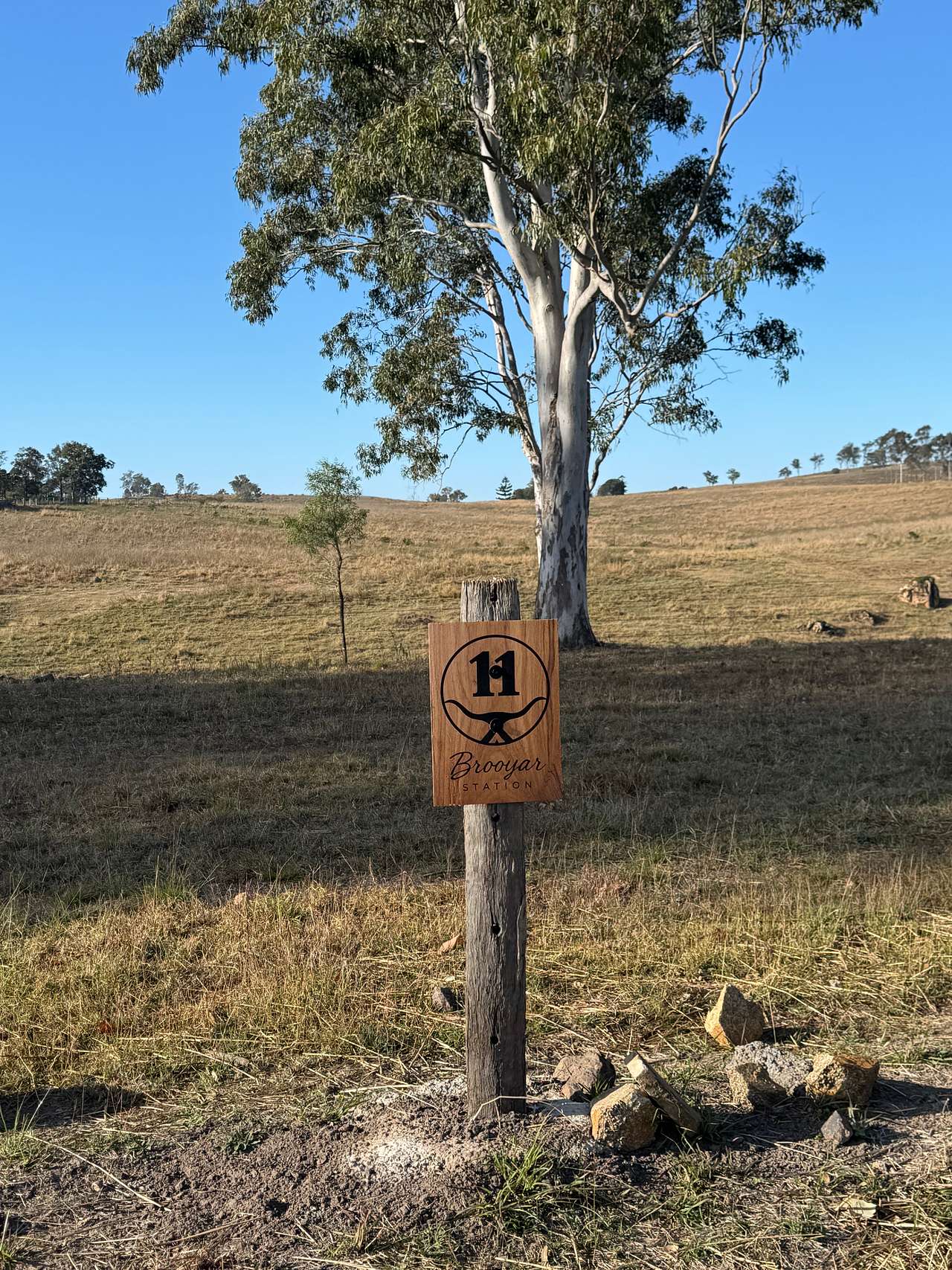 Camp Site 11