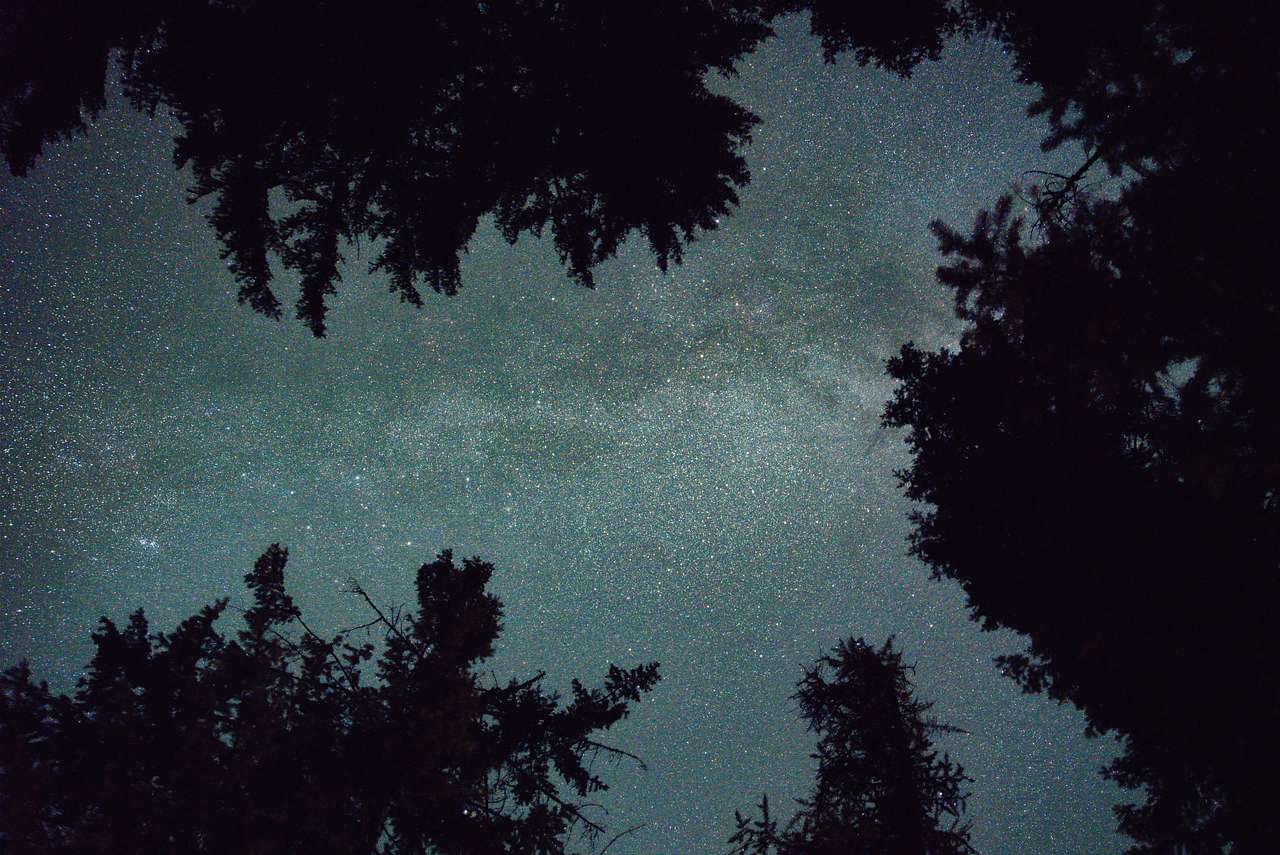 Perfectly clear night sky Milky Way directly over the cabin.