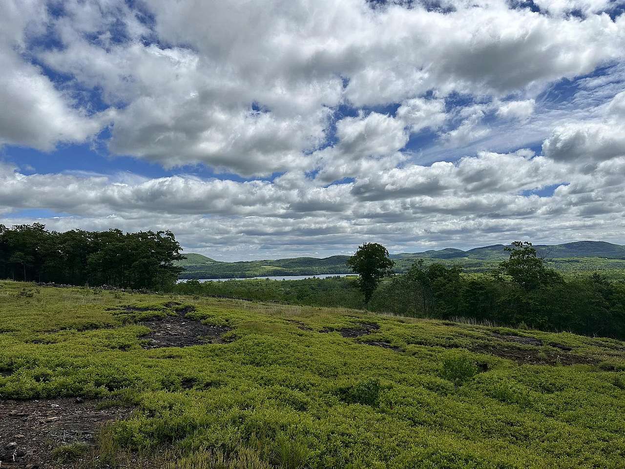 Magnificent View Blueberry Hilltop