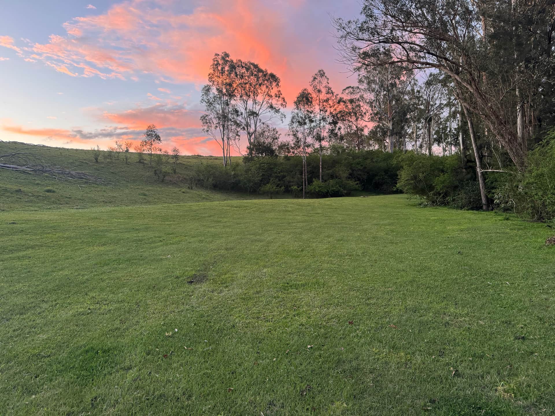 Bowrunga