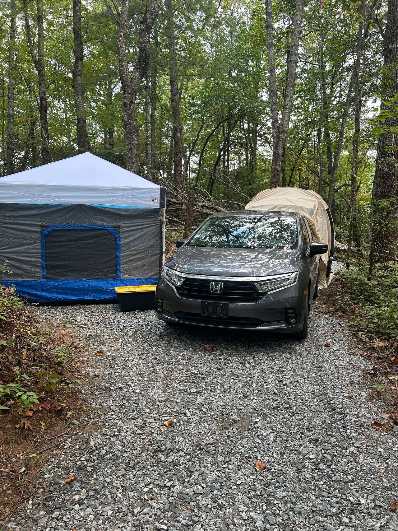 Cedar Ridge Base Camp