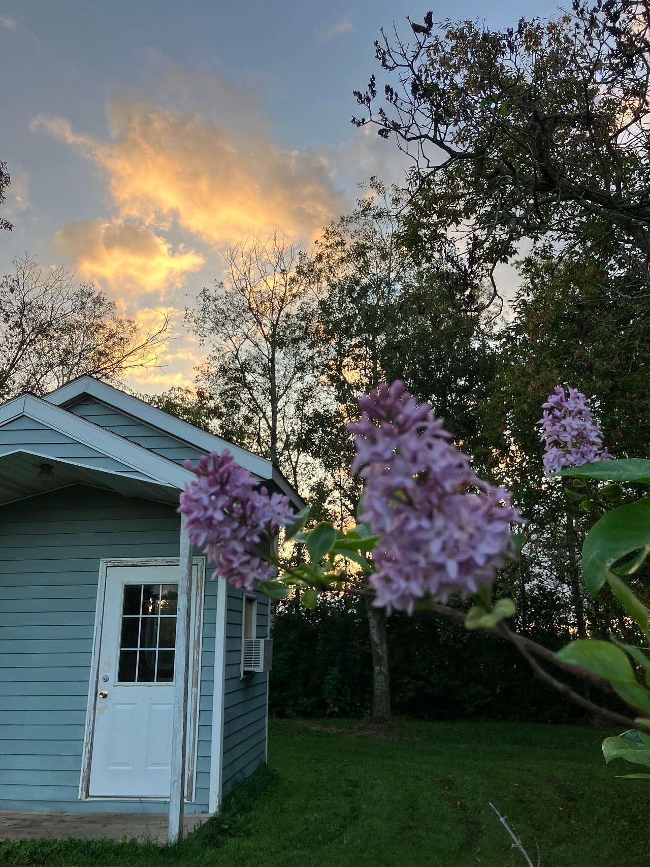 The little cabin