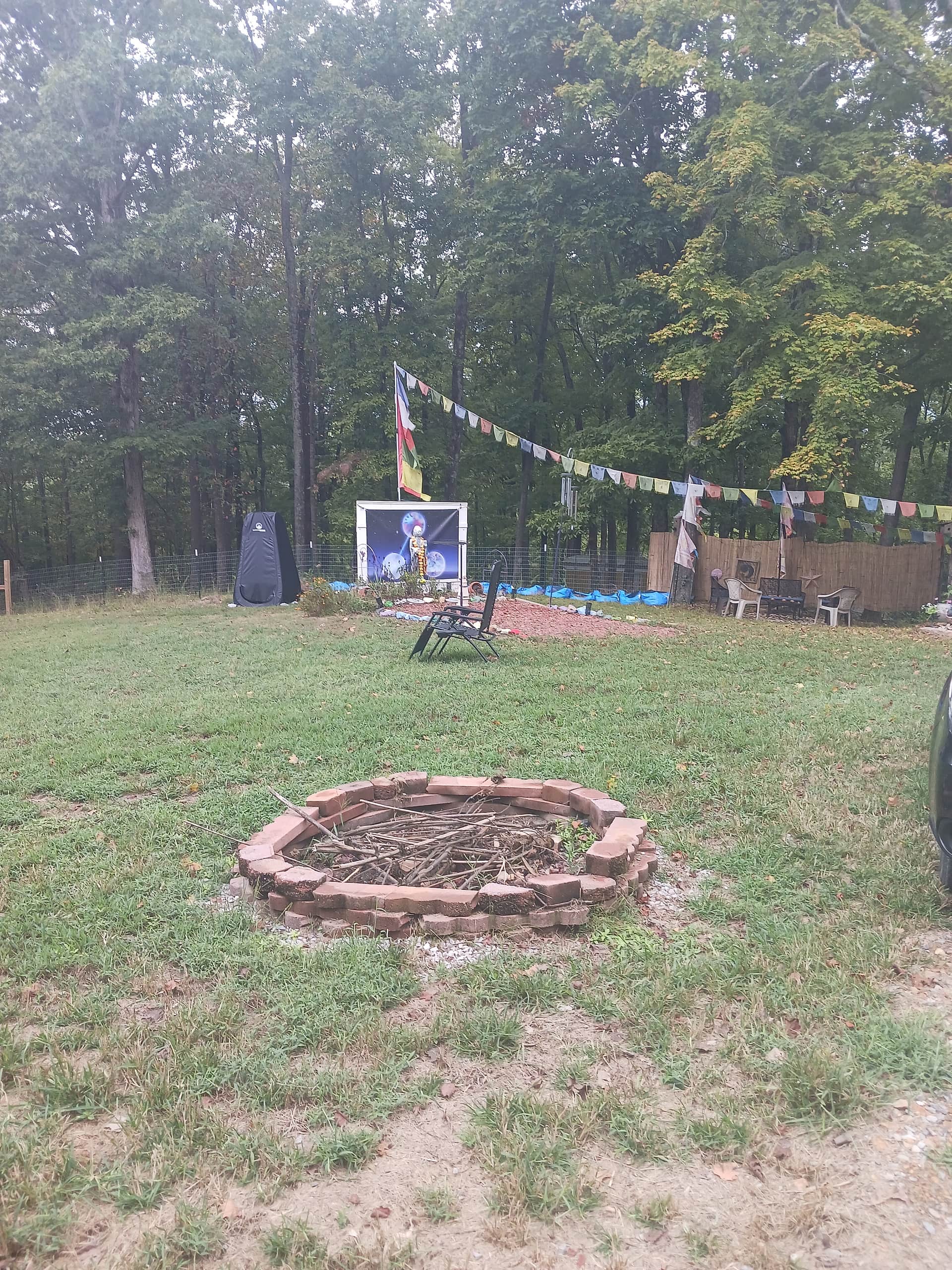 Picture of the site