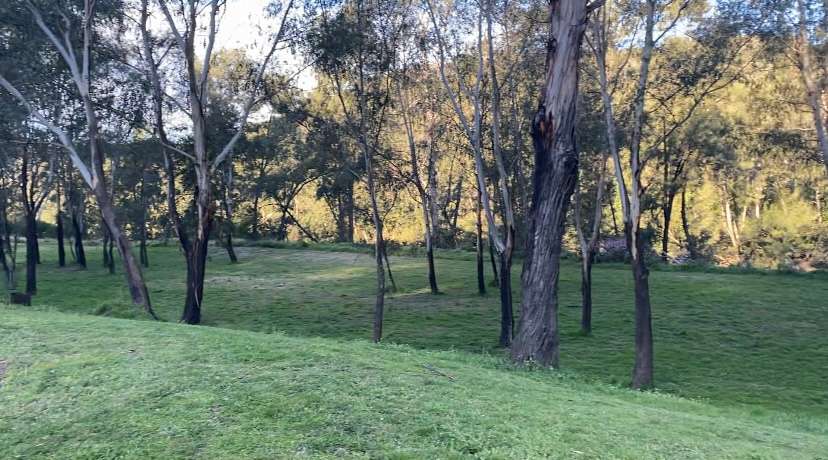 Whispering Gums Colo River Camping
