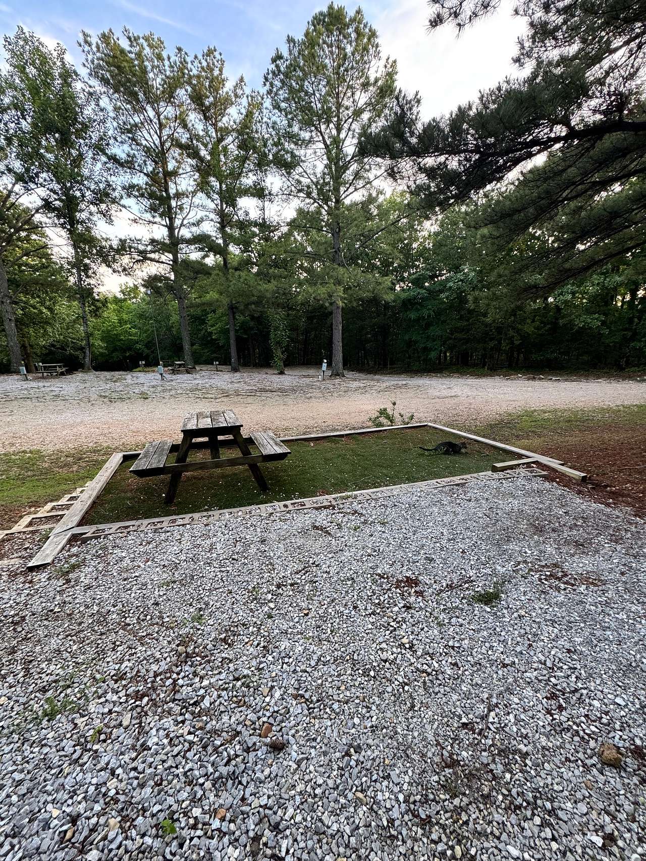 Picture of the site