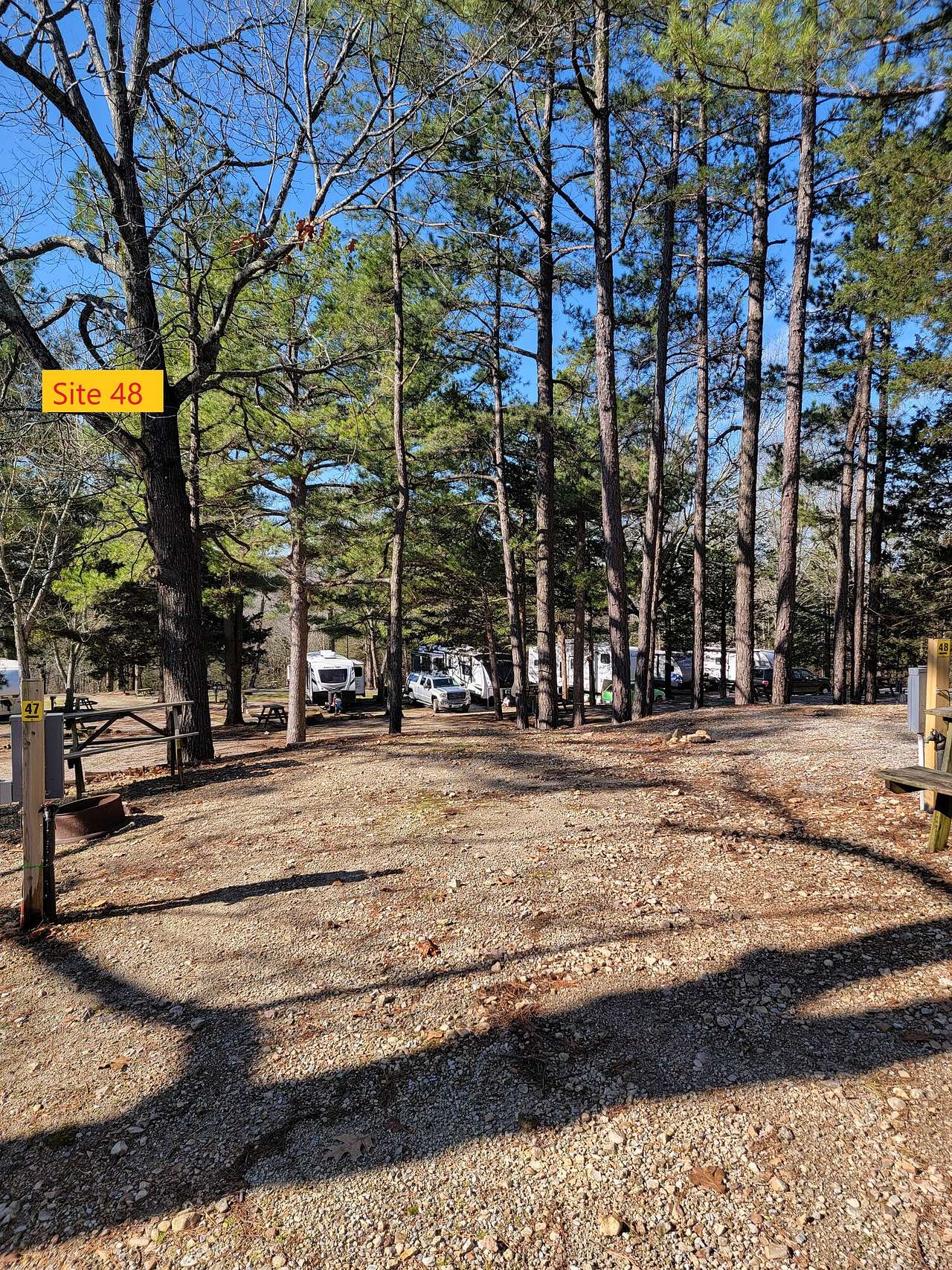 Picture of the site