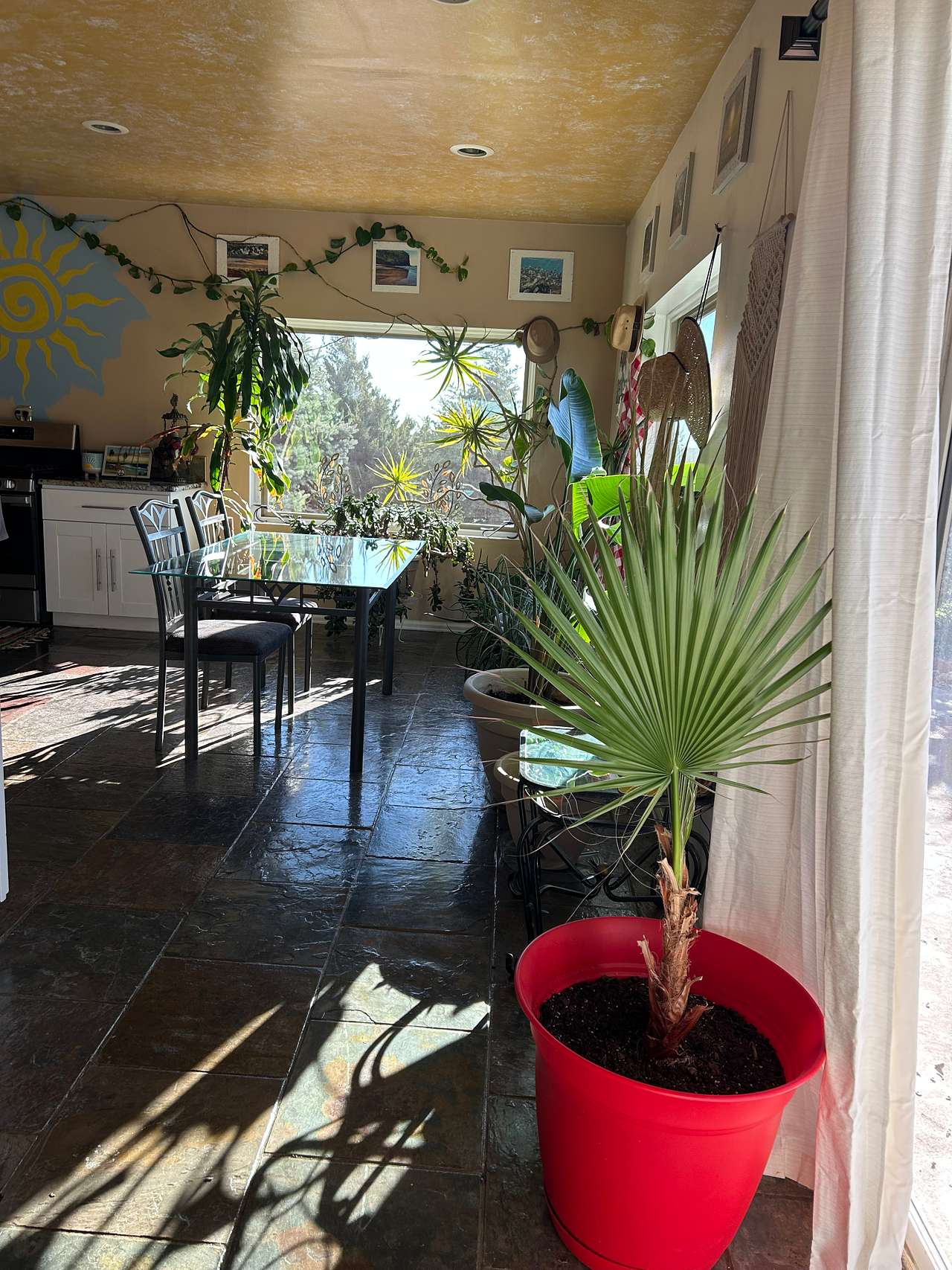 Hippie Chic Oasis