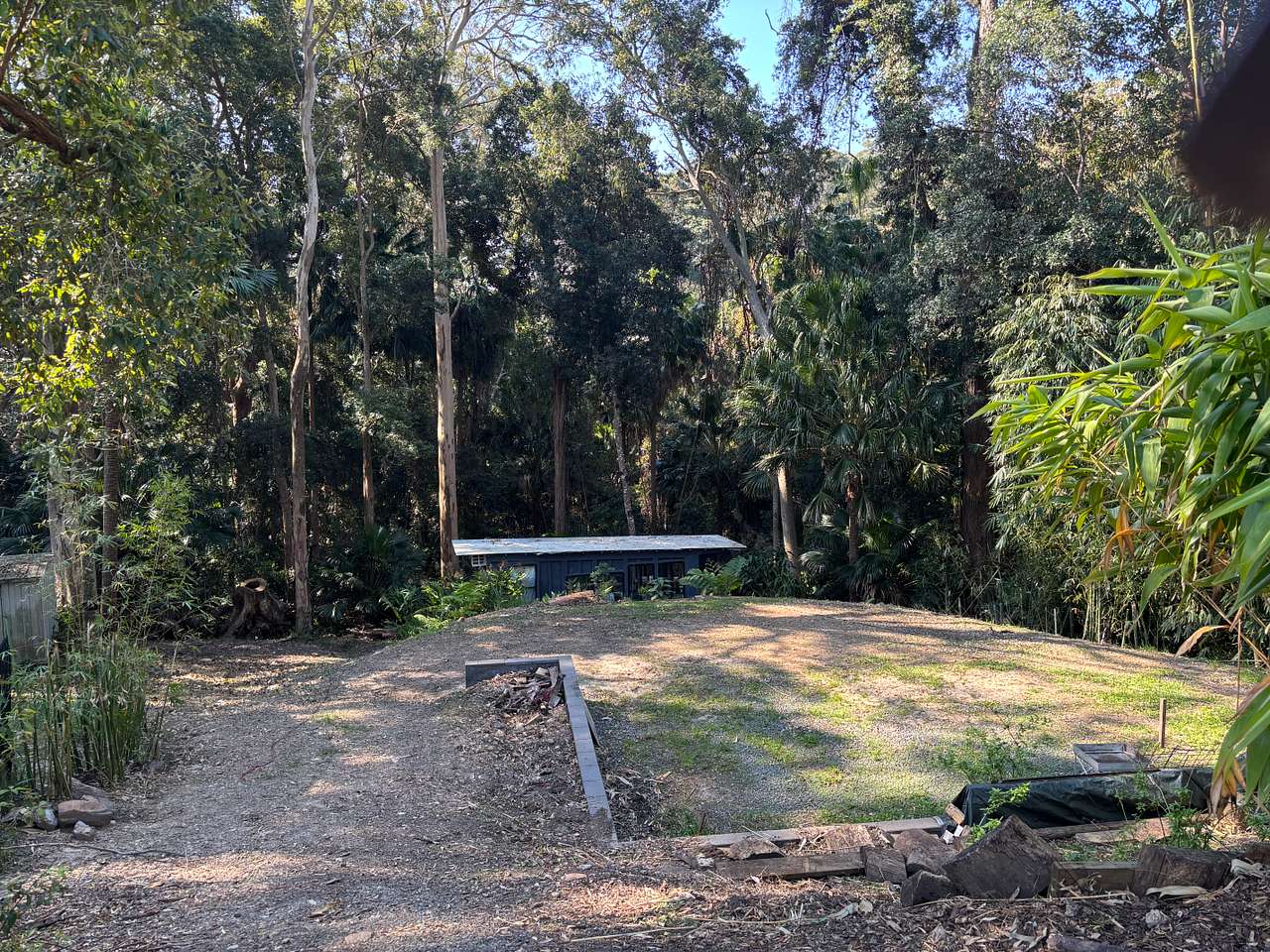 Land By Rainforest Near Lake