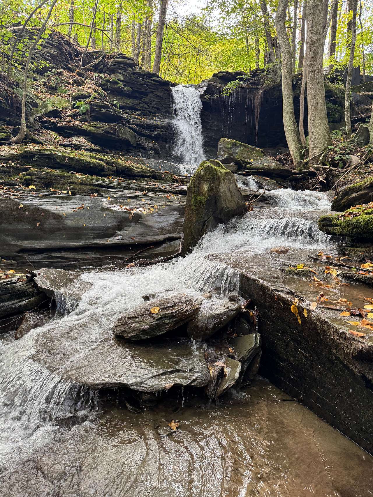 Glamping Tent Overlooking Waterfall