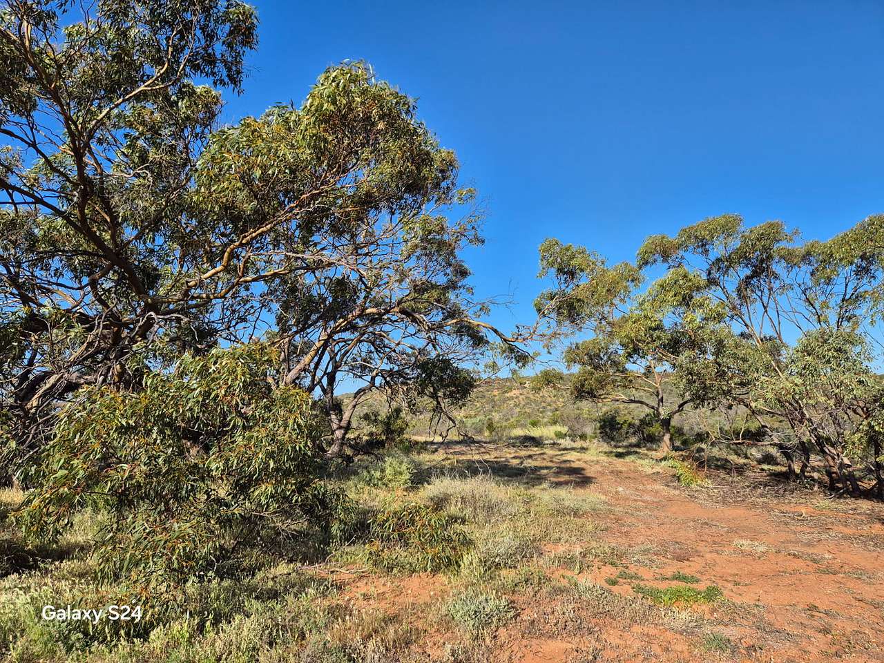 Ajana Bush Camps “Mt View Station”