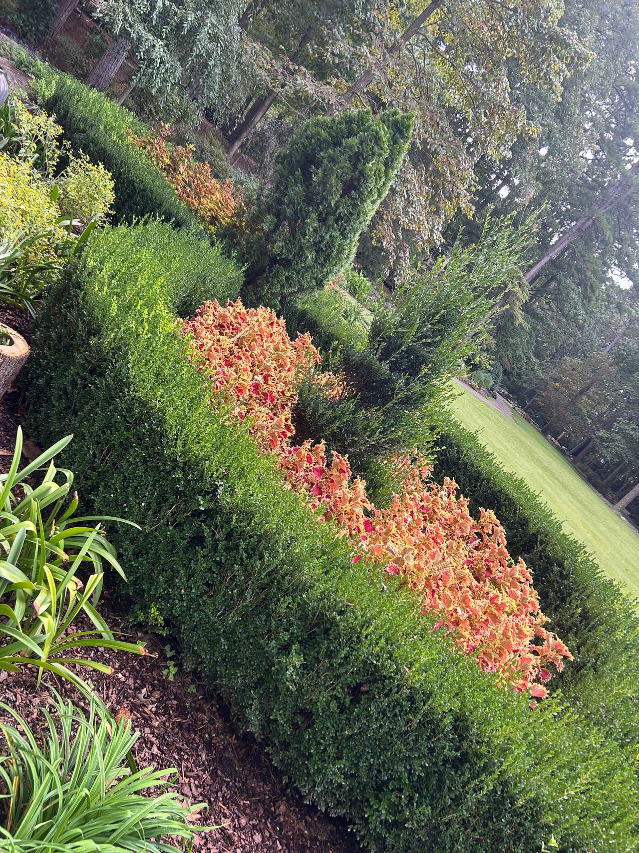 Graven Woodland Garden only 30 min away