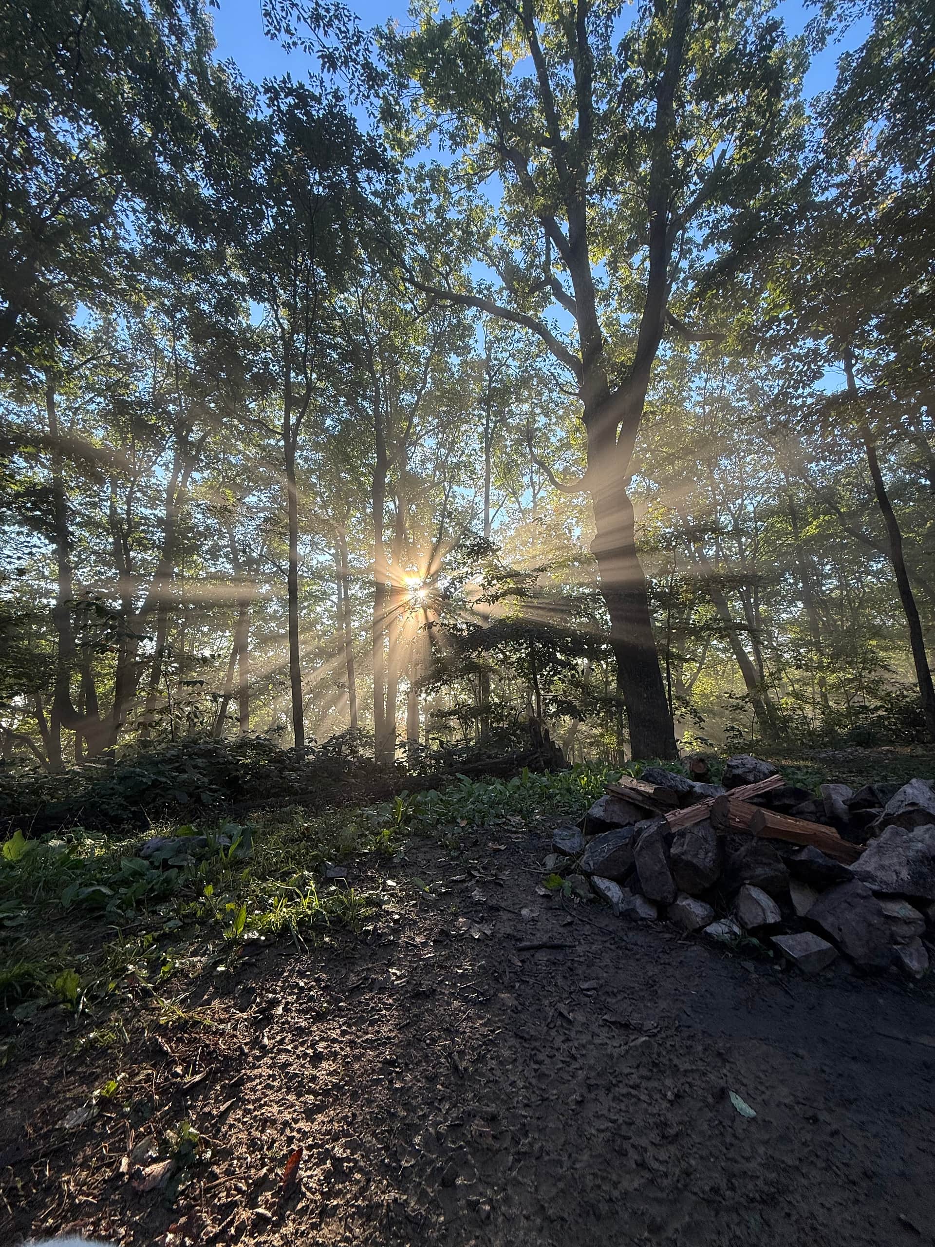 Morning sun in front of the fire pit 