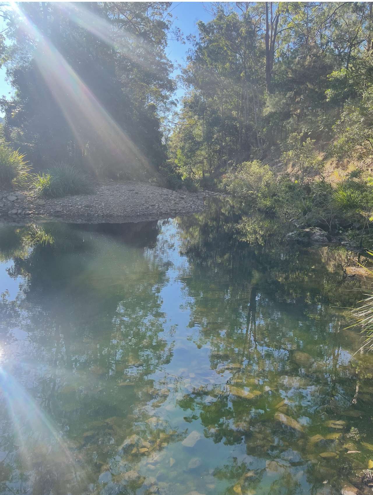 The Creekside Collective