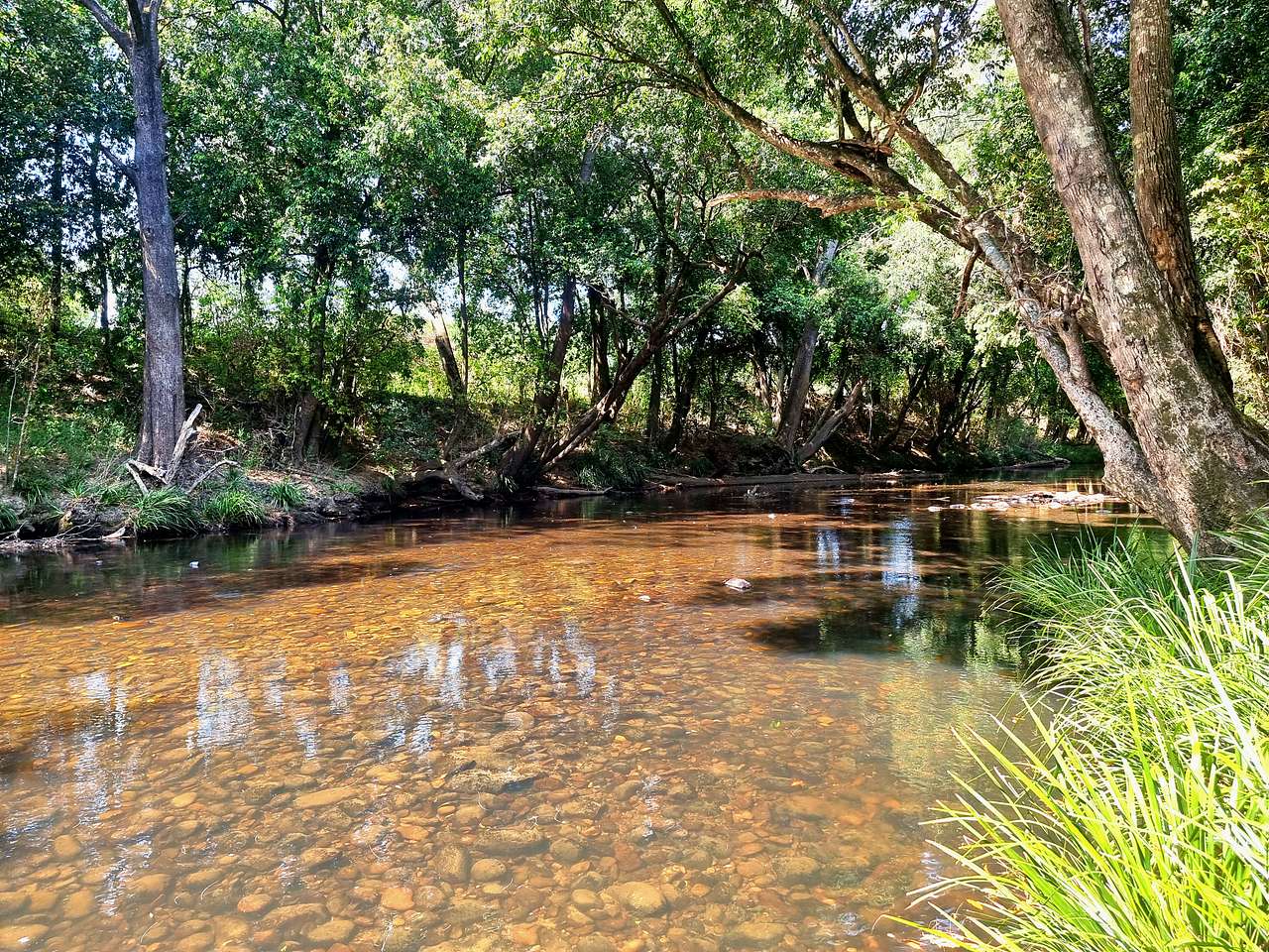 Willowbank