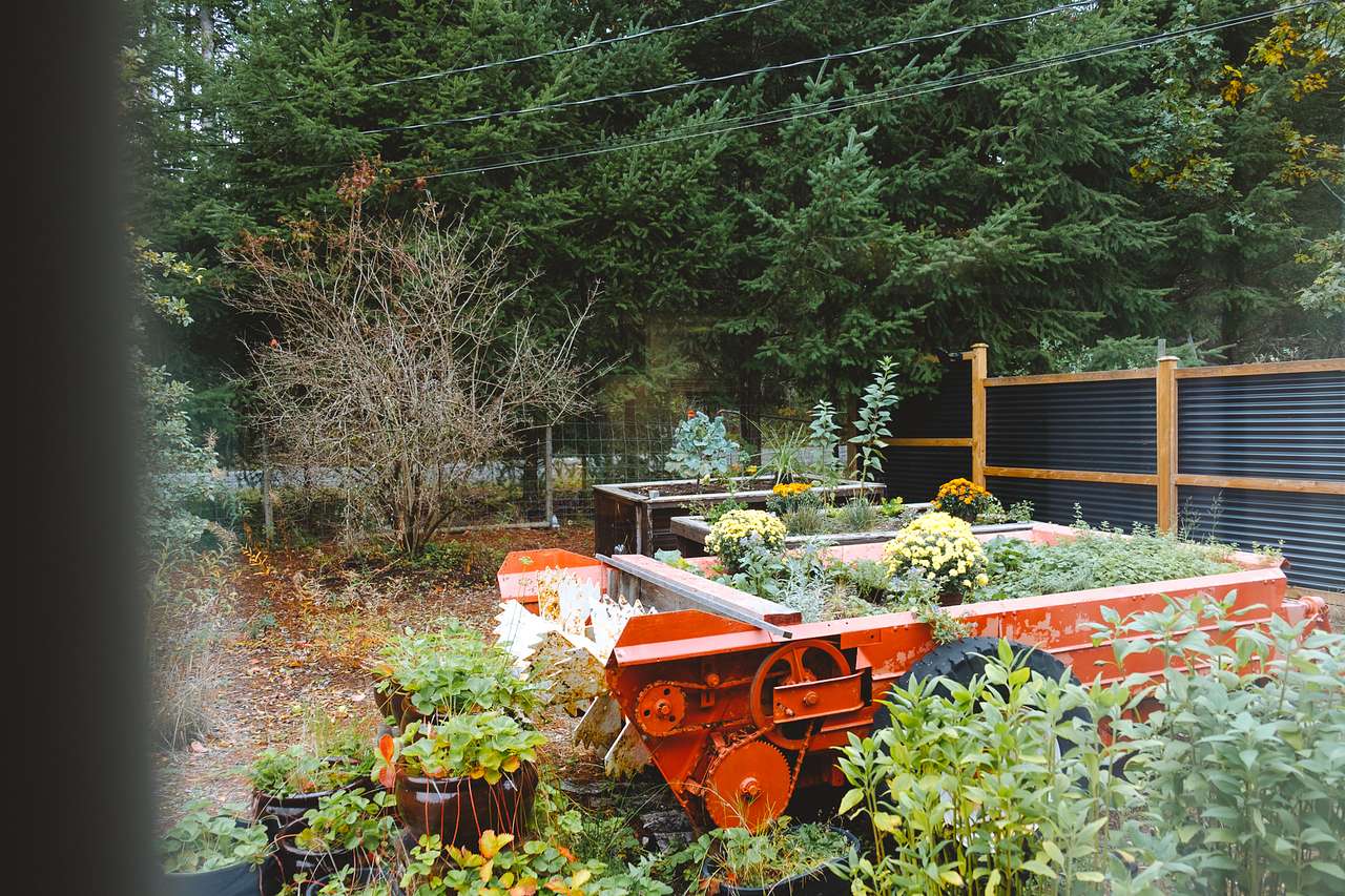 The view from bed of Karen’s beautiful garden.