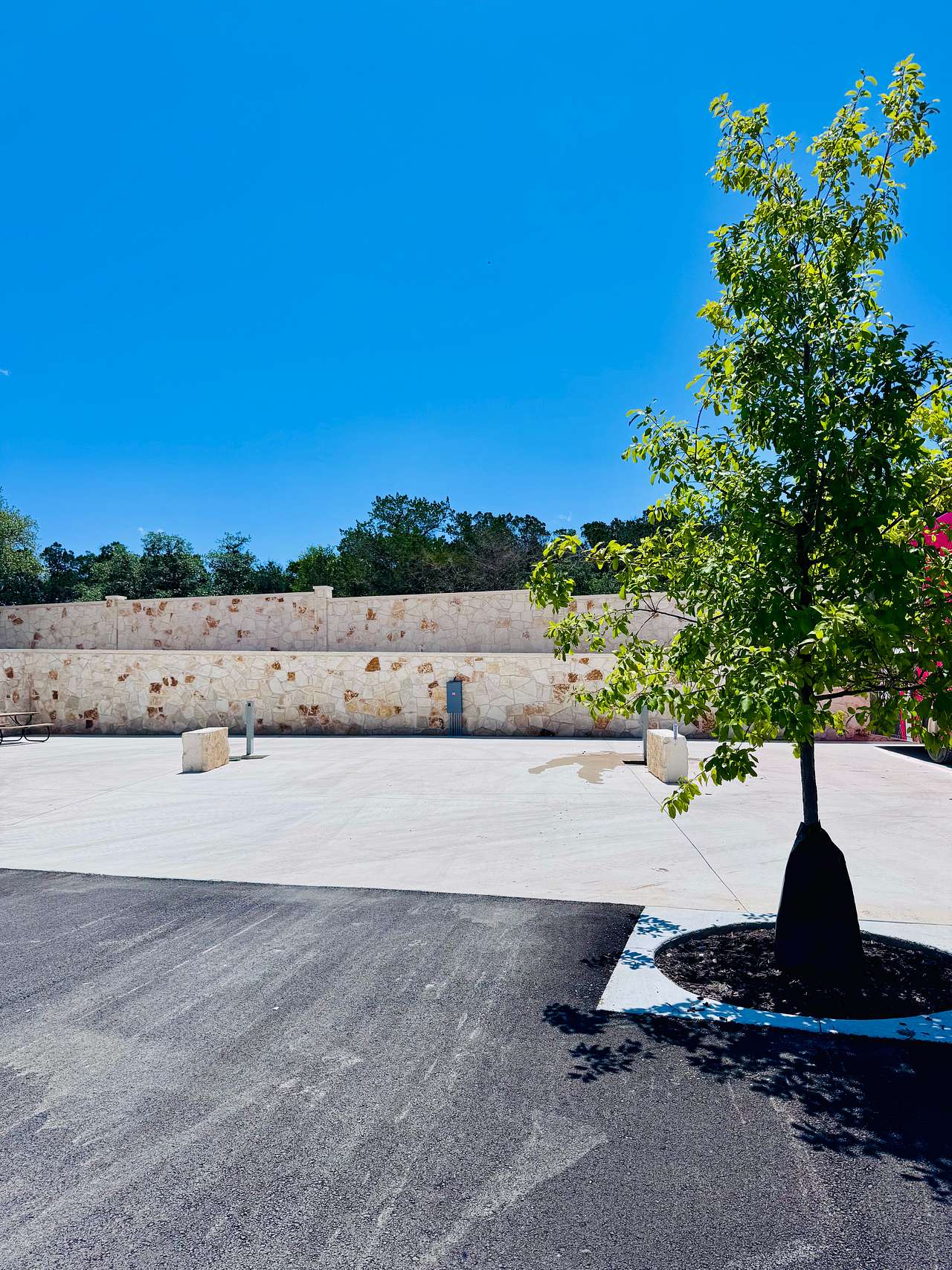 Picture of the site