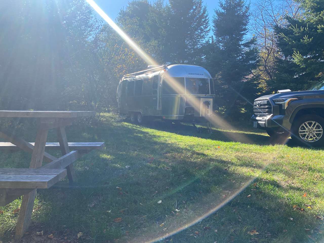 Picture of the site