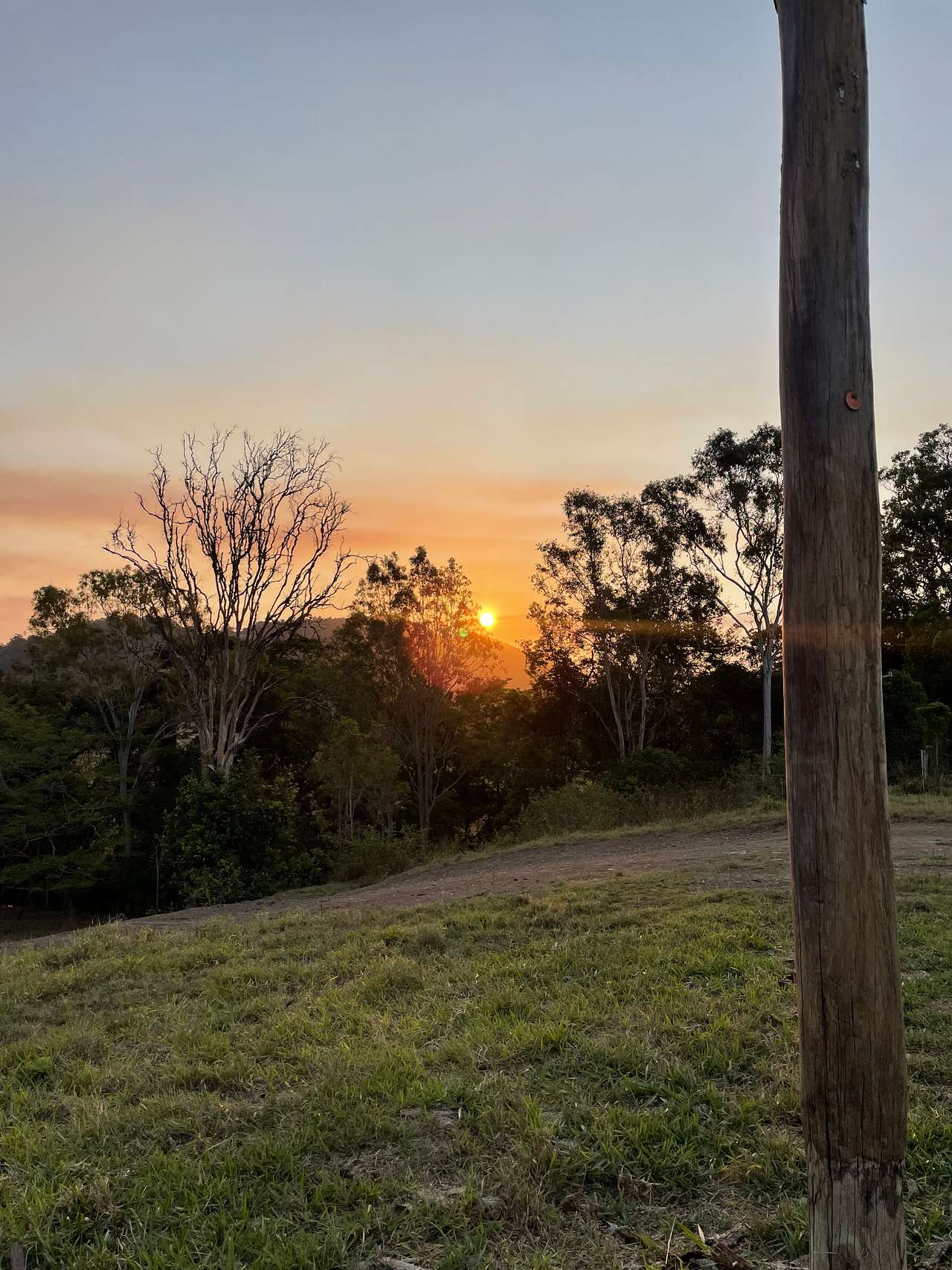 Cattle Camp, Sarina, QLD