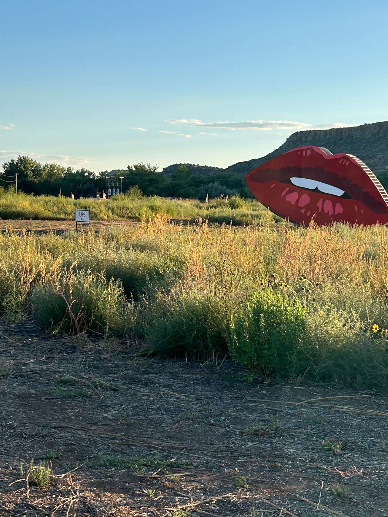Art City Camp & RV Tucumcari