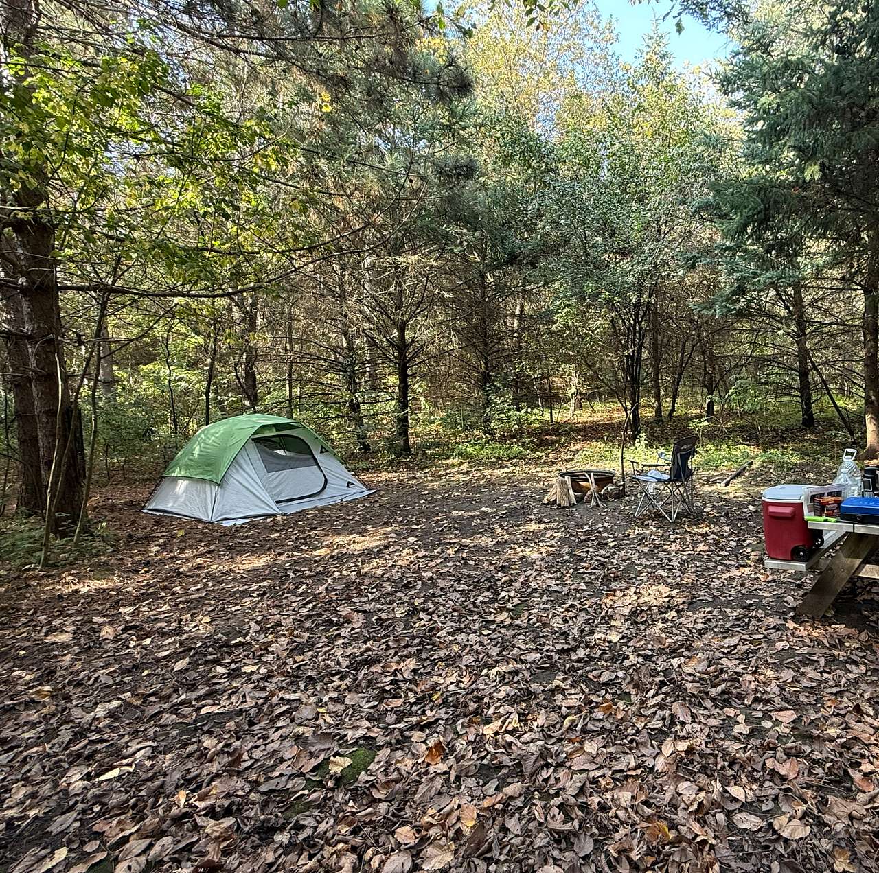 Picture of the site