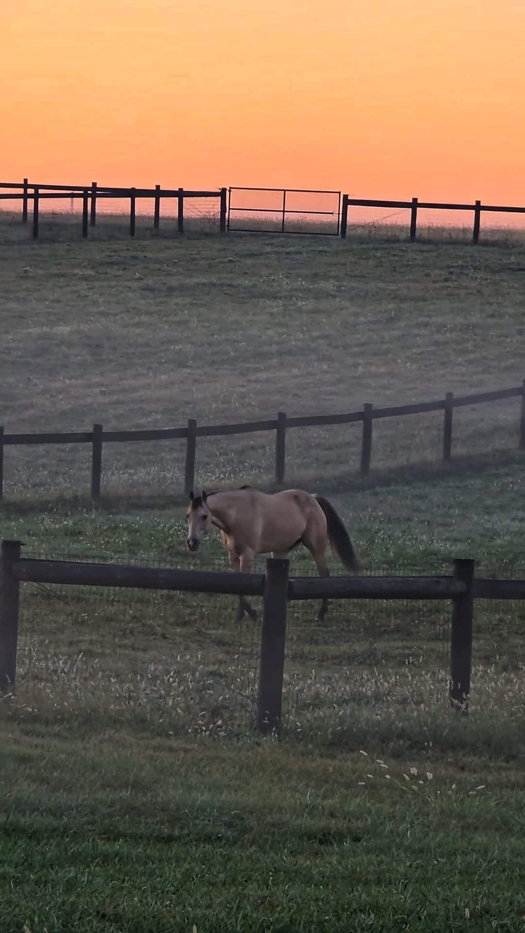 Double AA Stables