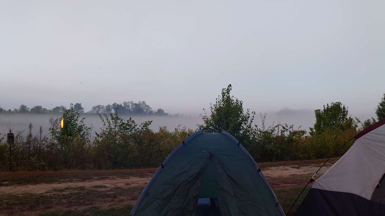 Picture of the site
