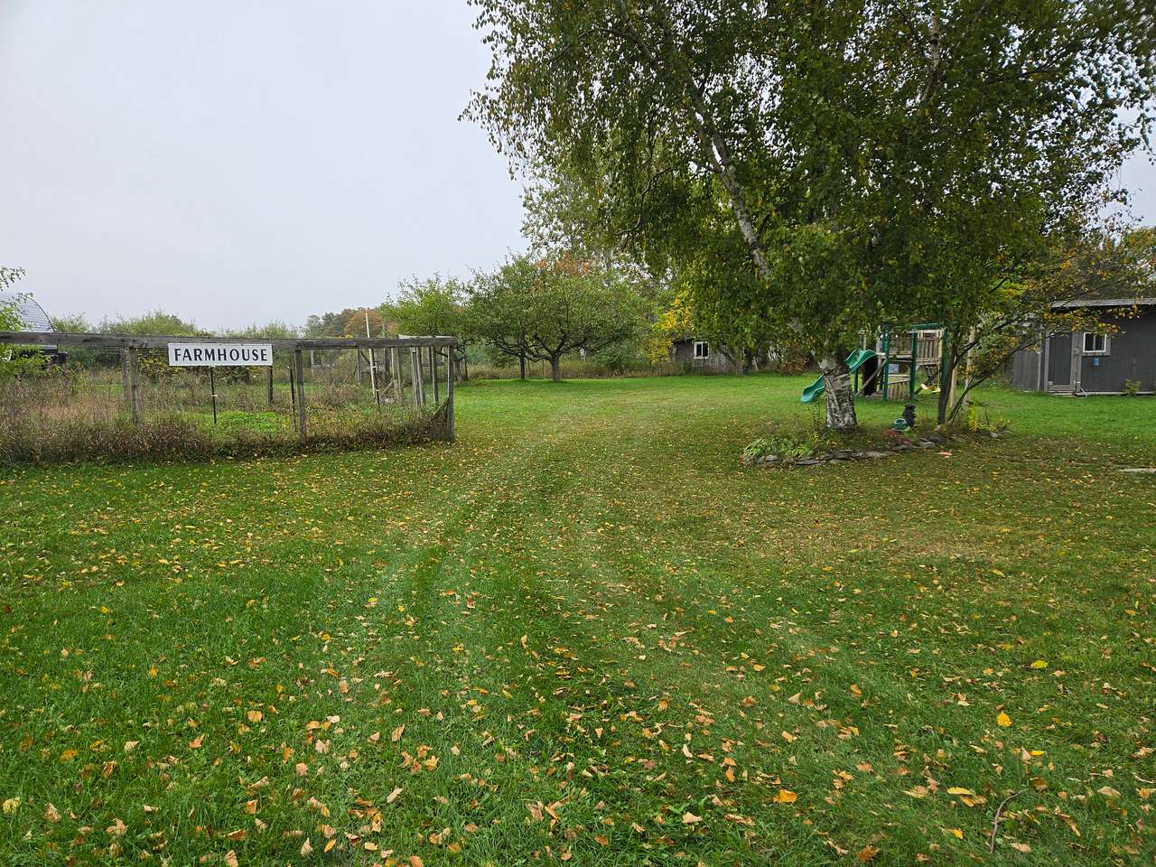 Fun on the Farm