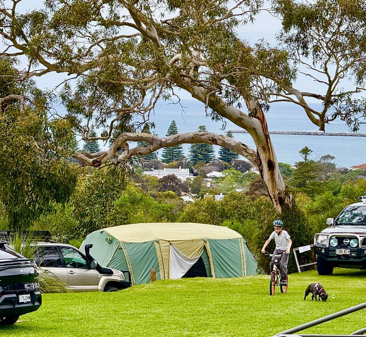 Picture of the site