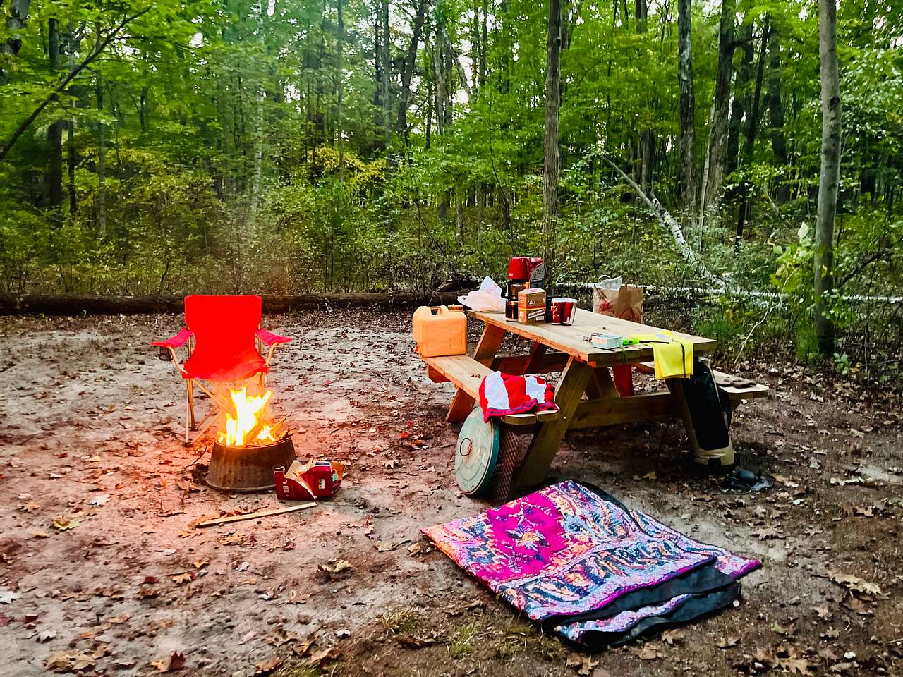 Picture of the site