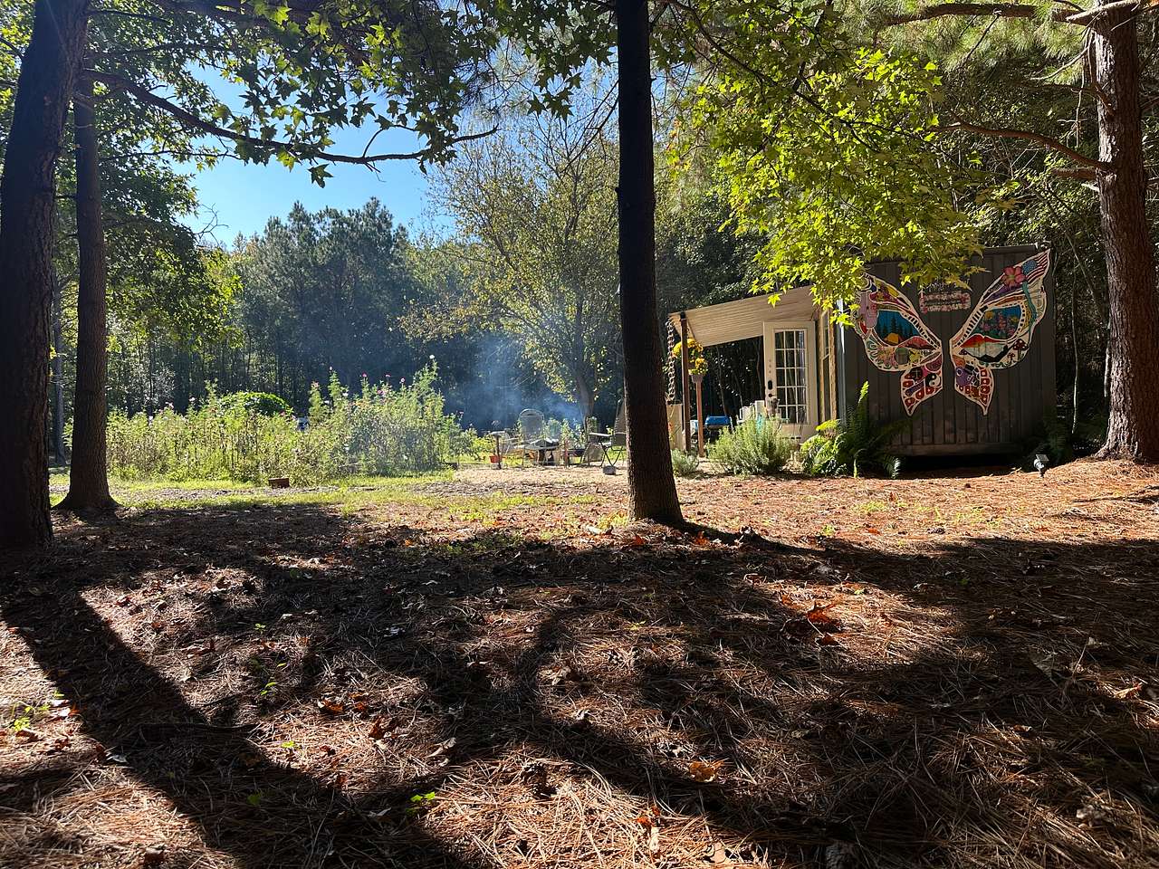 The Unplugged Forest