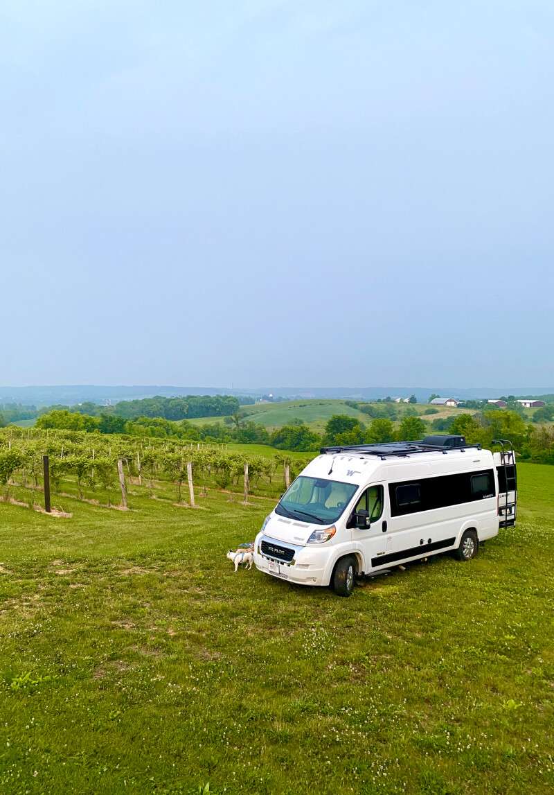 Fergedaboudit Vineyard and Winery