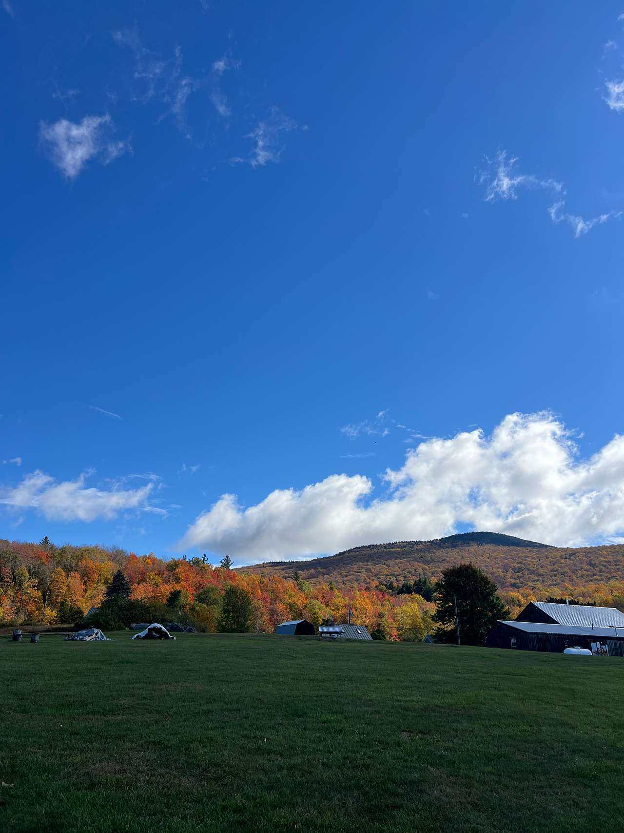 BlueberryHill  Field Camp