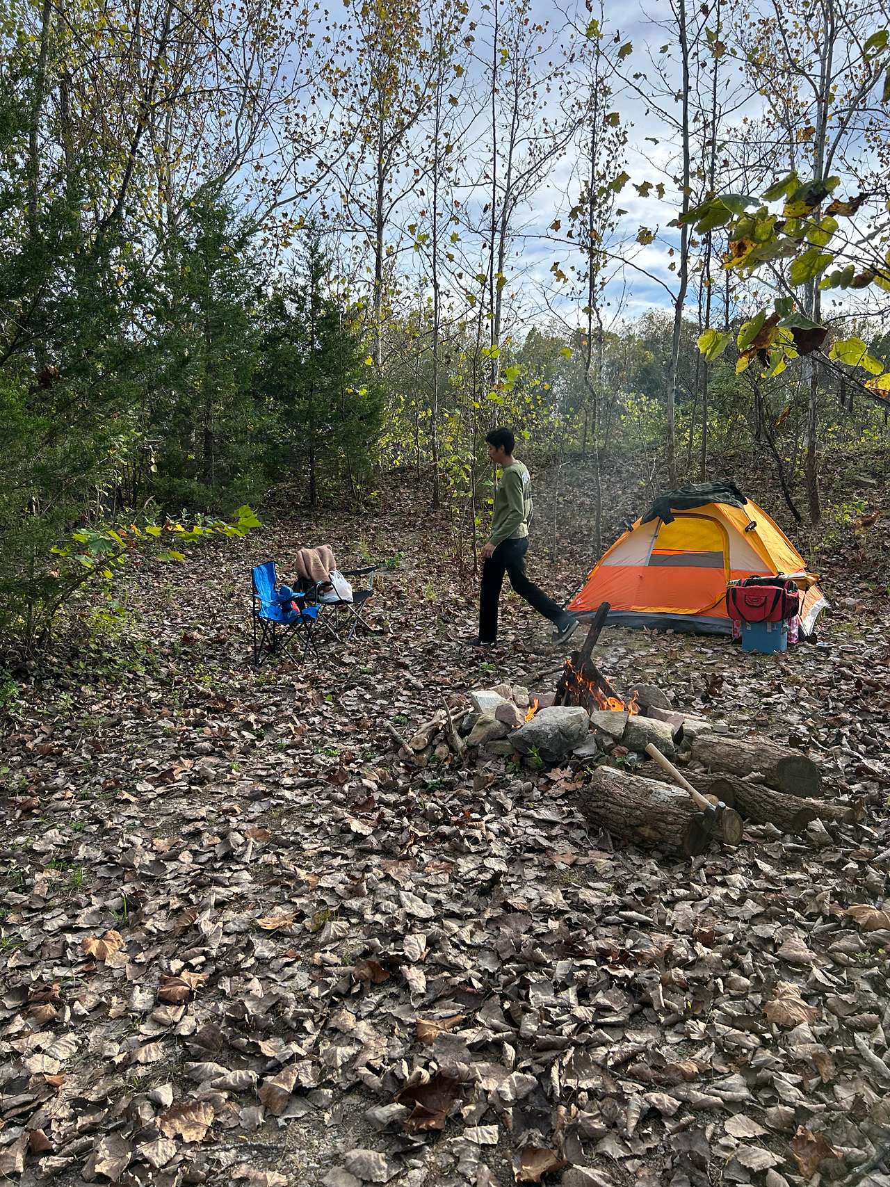 Picture of the site