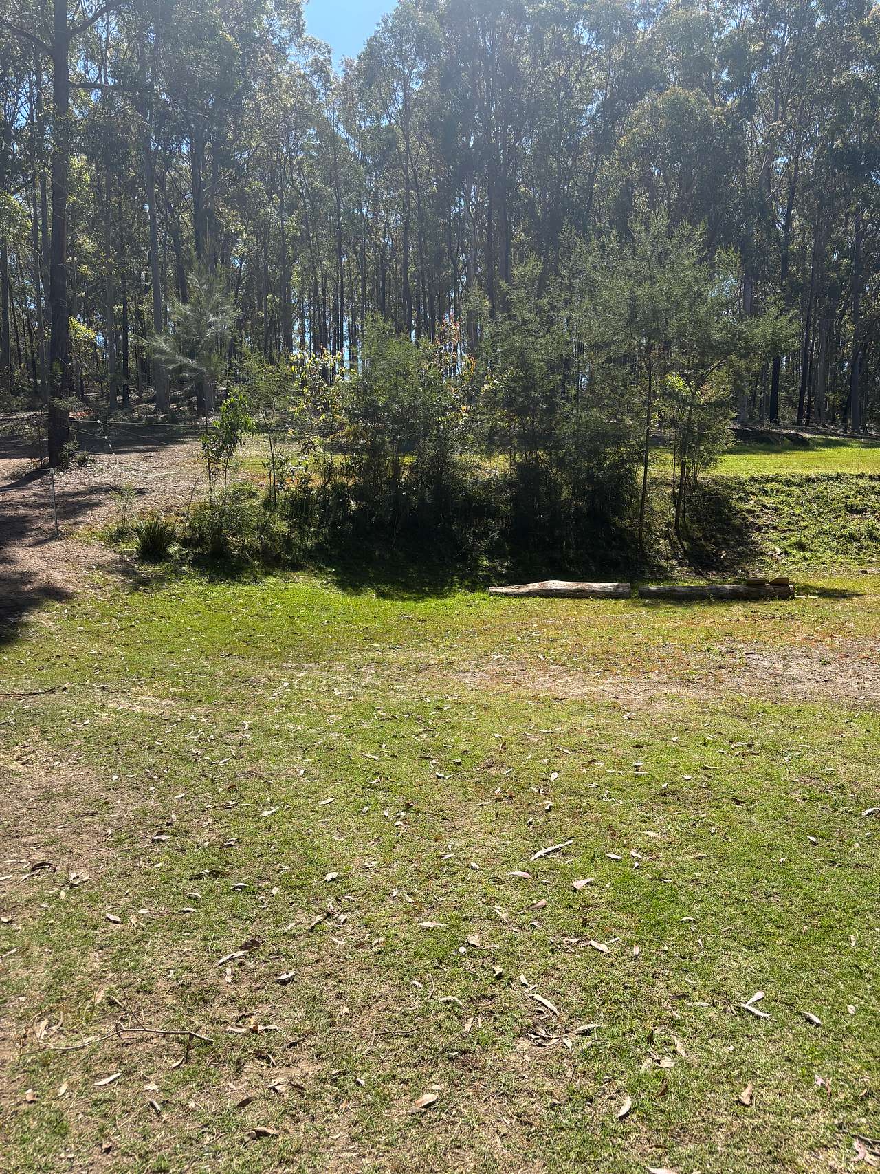 Tent site