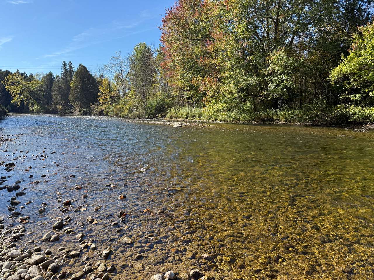 Beaver Ranch