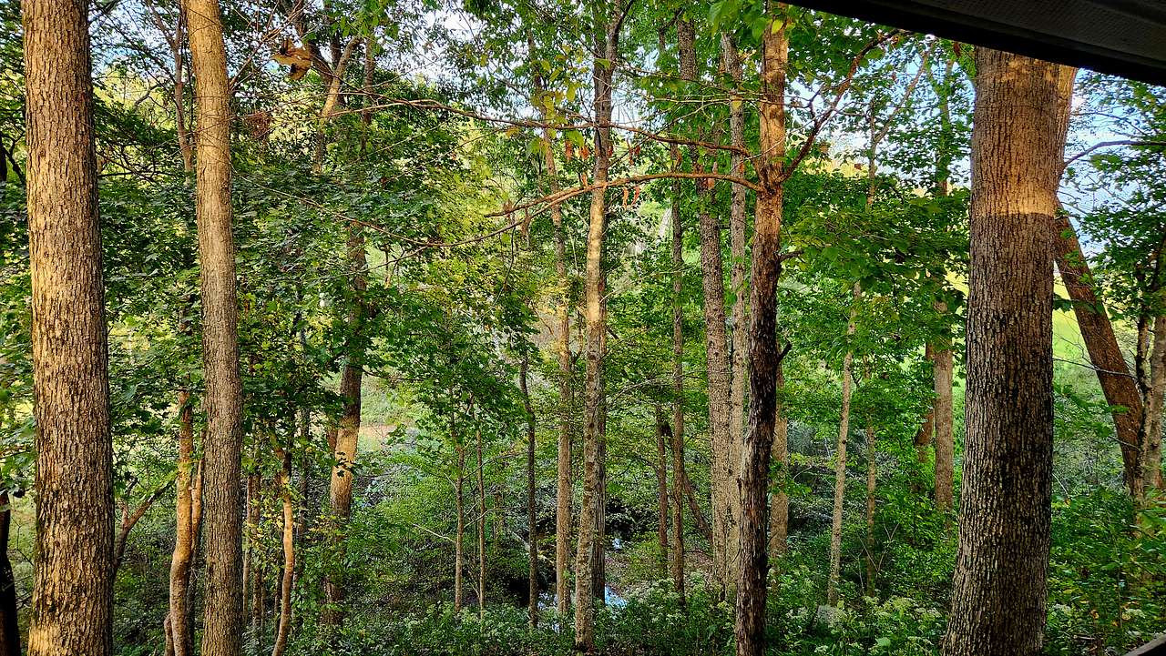 View from the seating area.