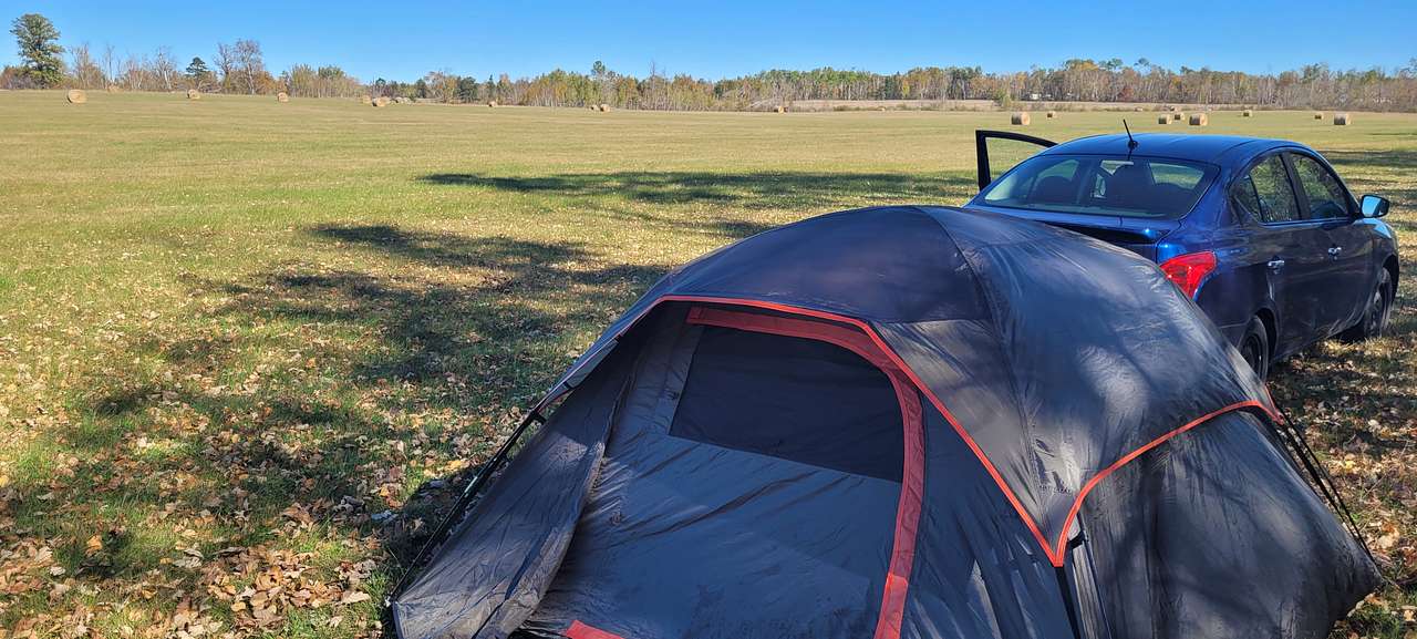 I Live in the Country