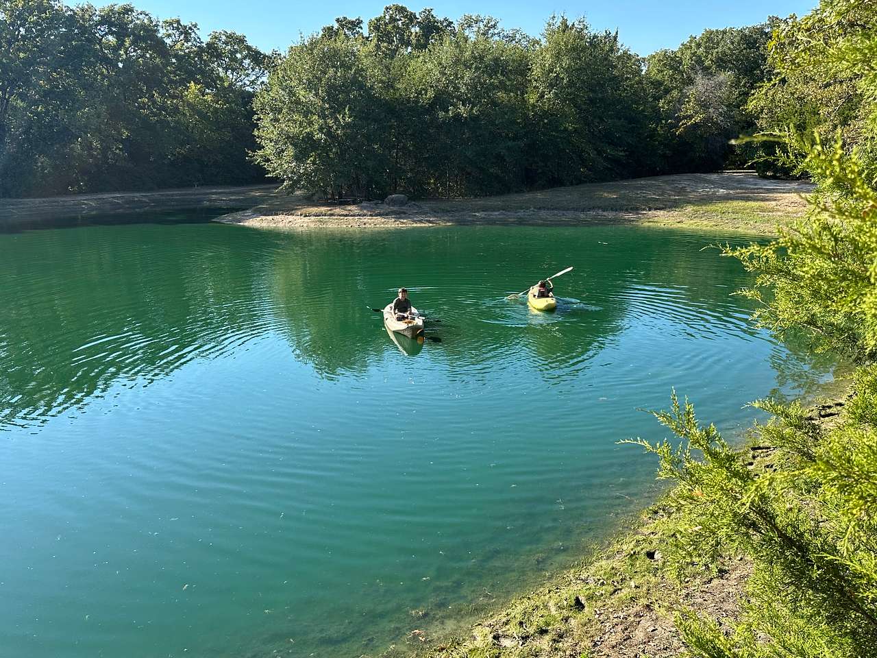 Texas Safari Camp
