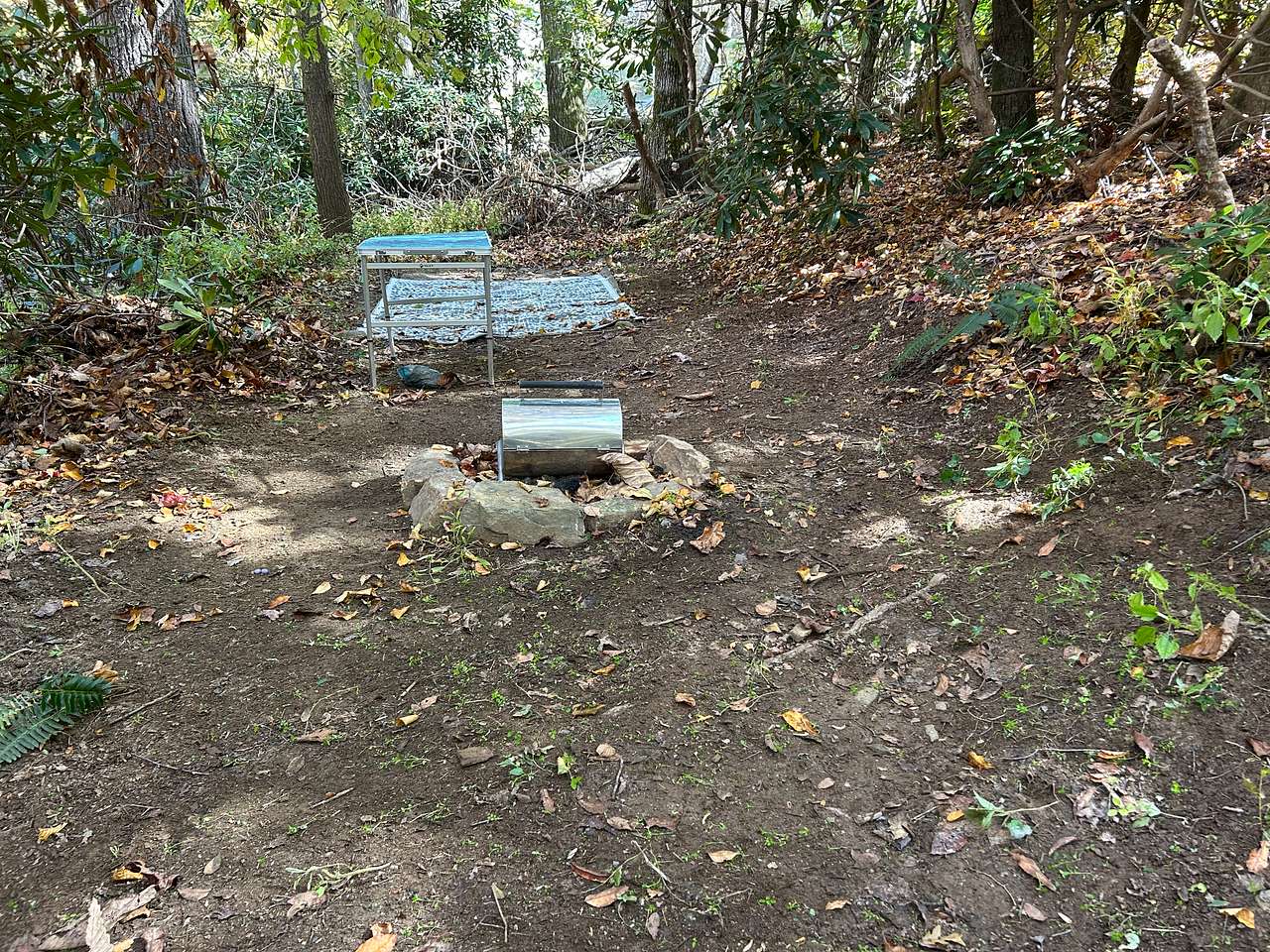 Picture of the site