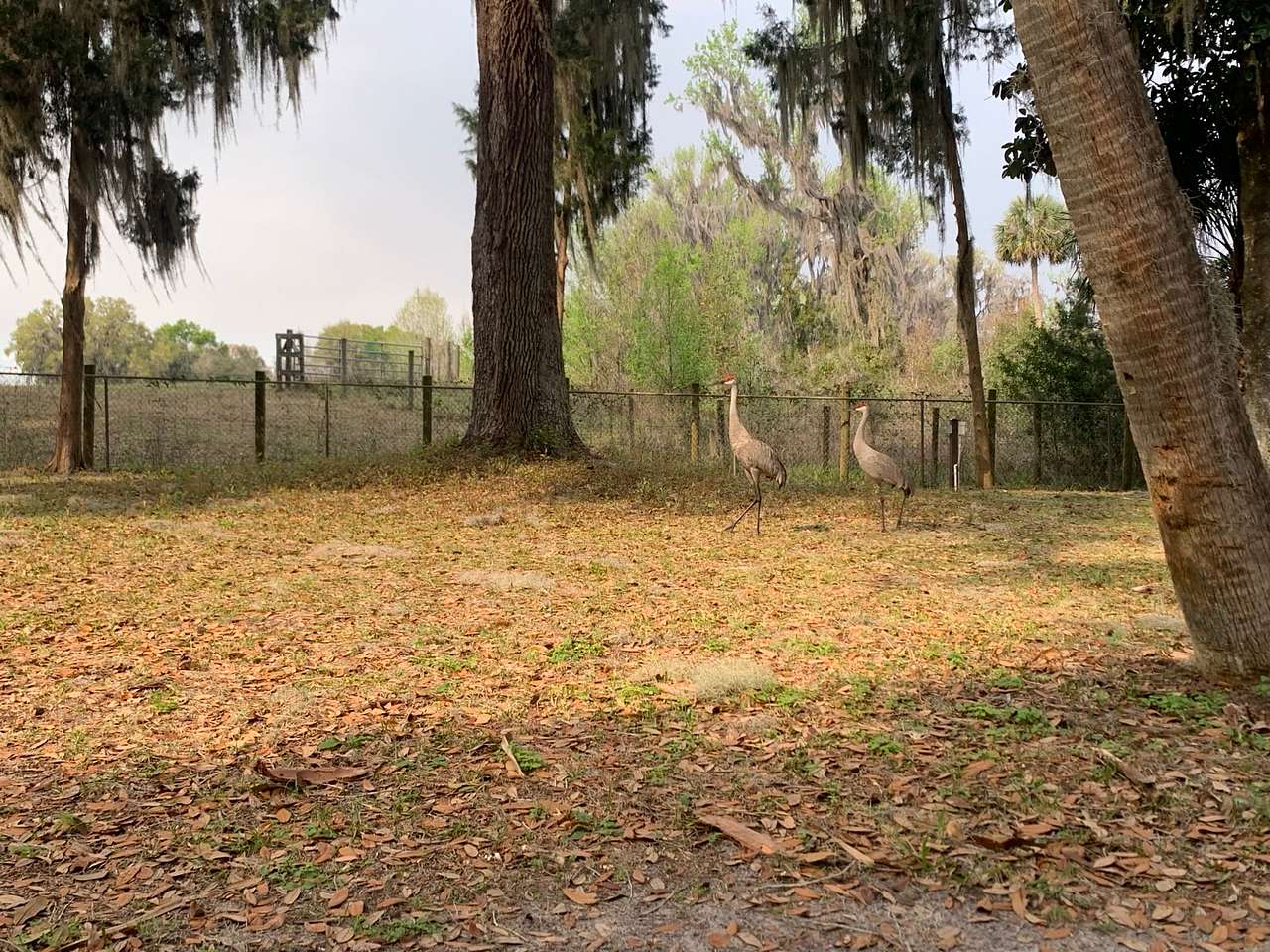 Timakwa Lakeside Campsites