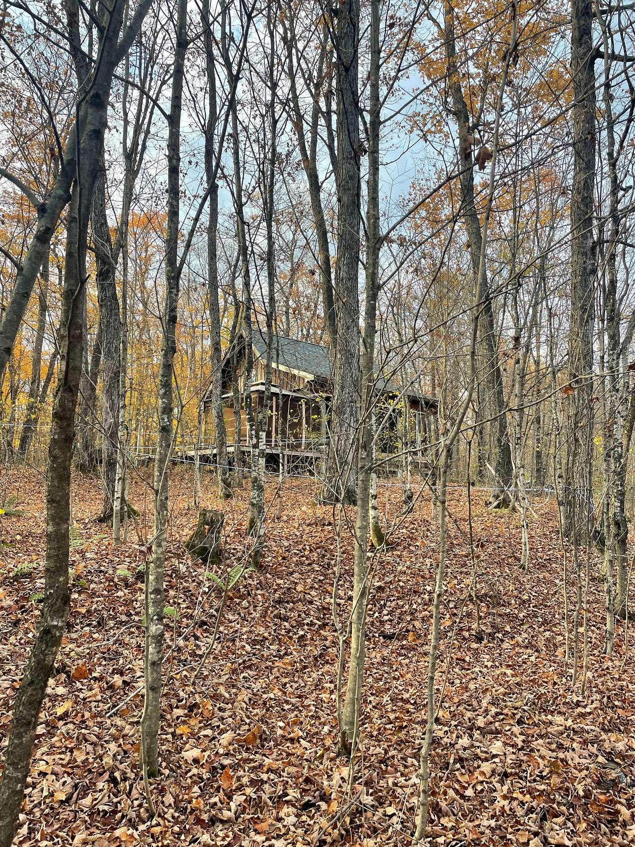 Peaceful Off-Grid Cabin Retreat