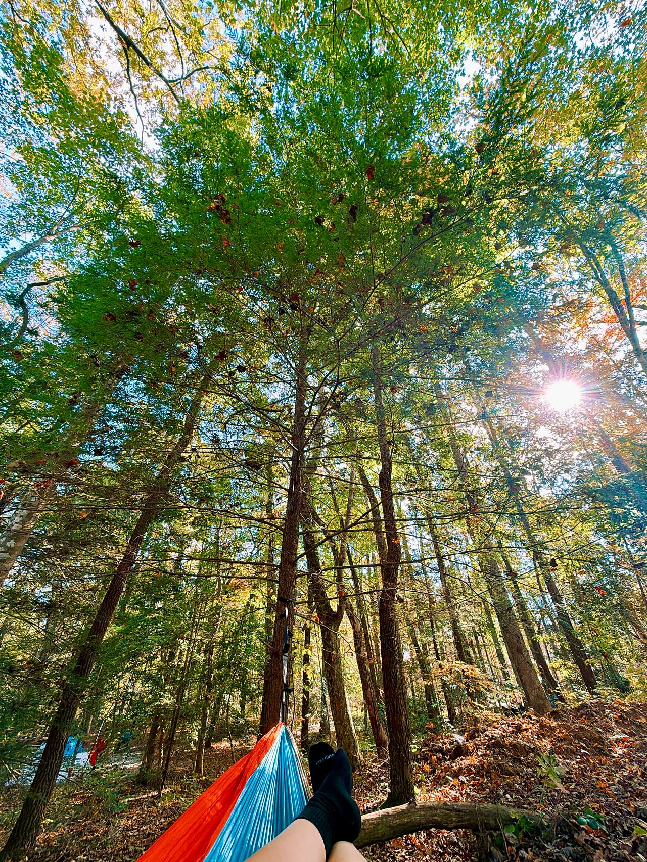 Greeter Falls Campground