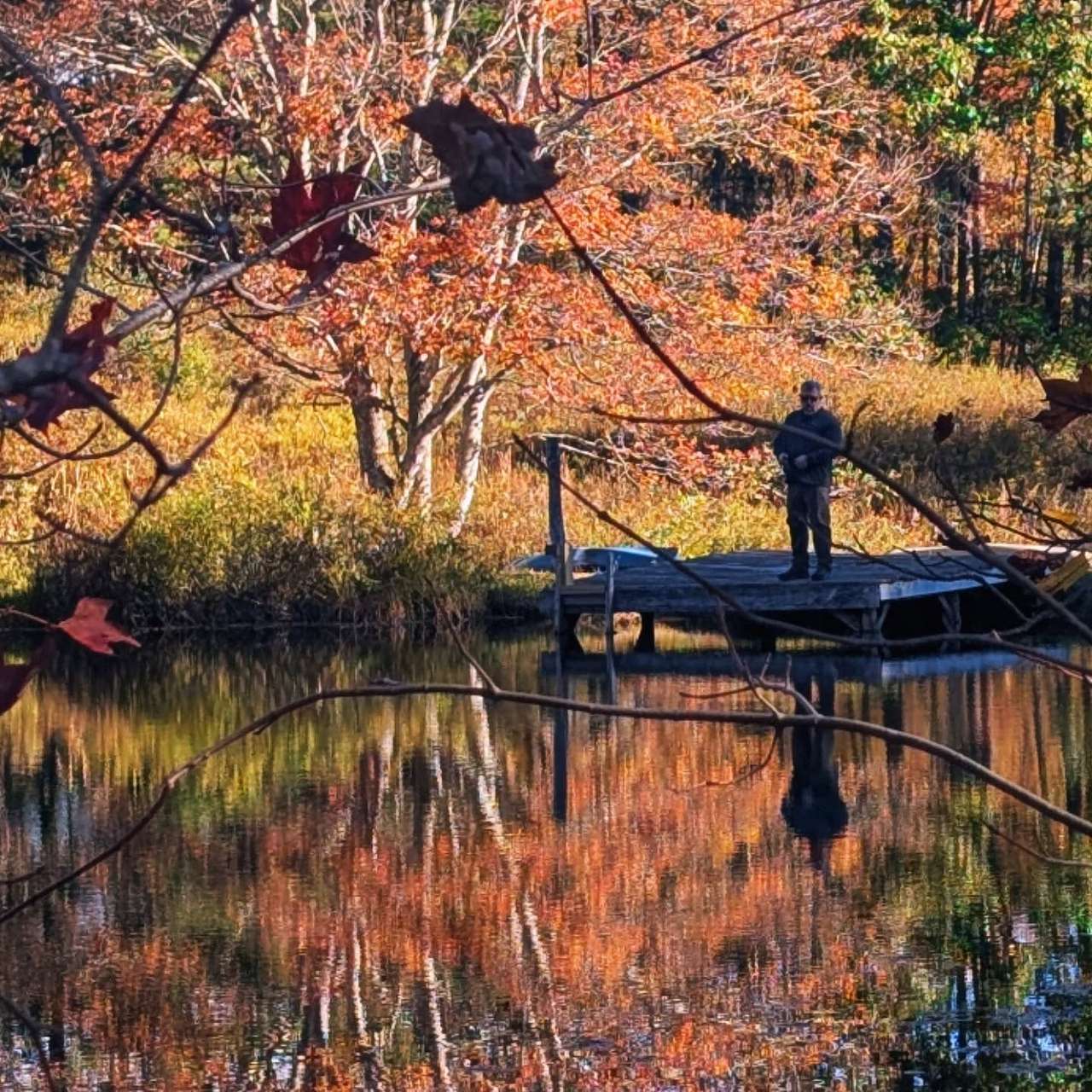 A dock for fishing!