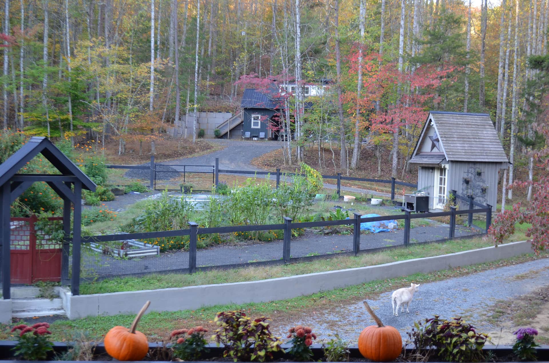 Picture of the site
