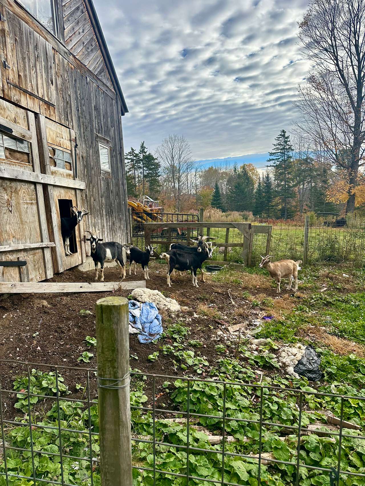 La Lu Farm camp site