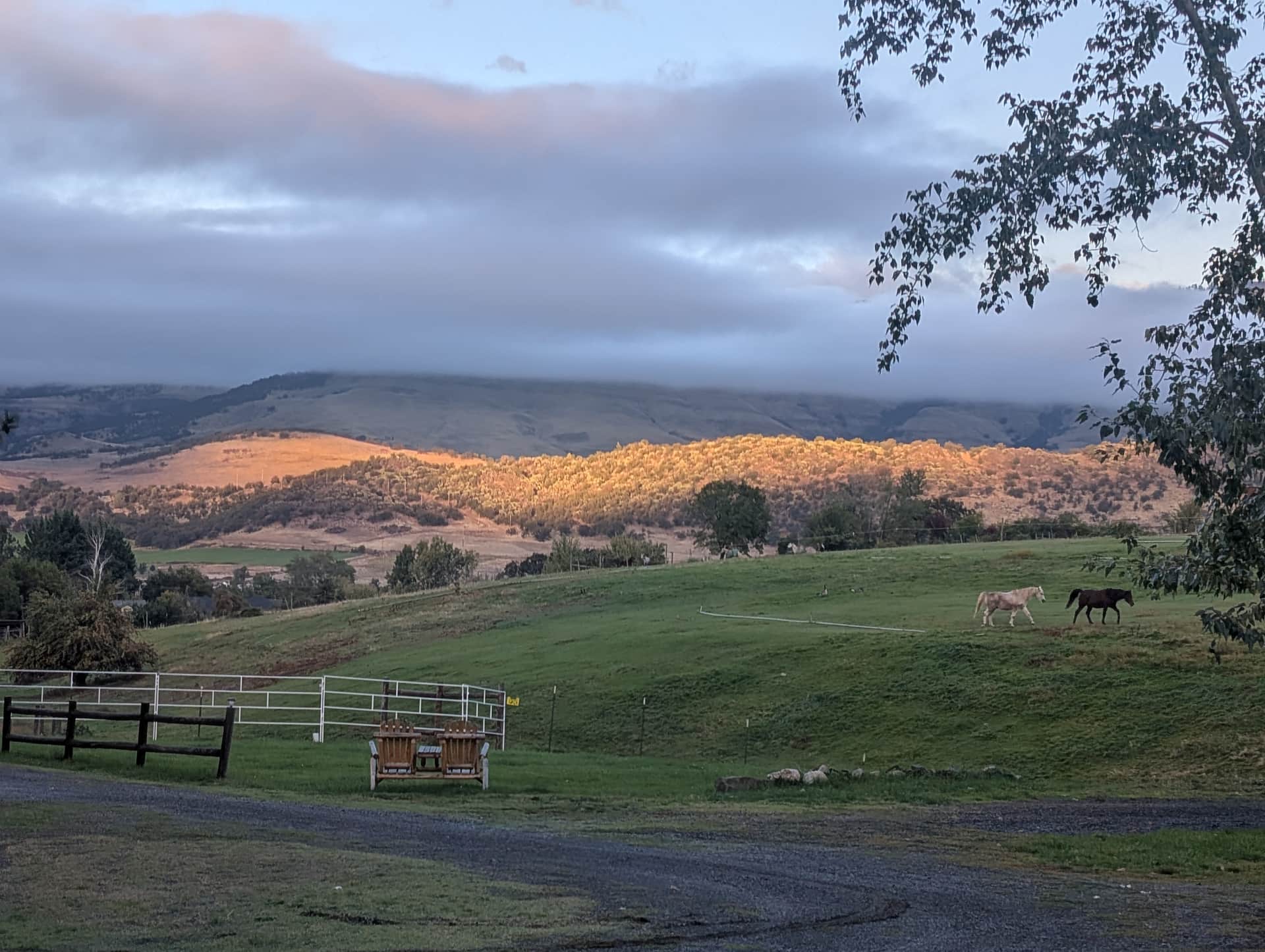 Little Creek Ranch