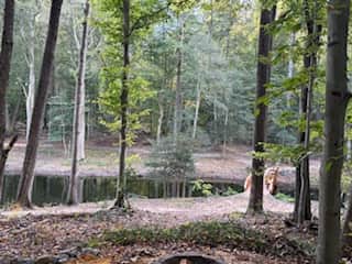 WillowOak camp and CedarCreek ponds