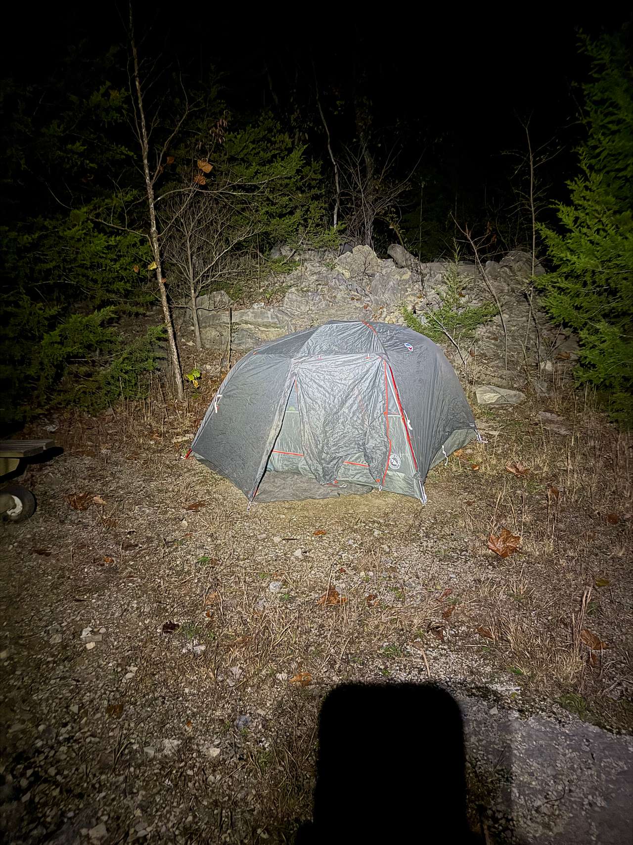 Picture of the site