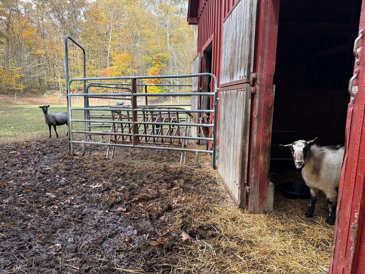 Blackburn Farm